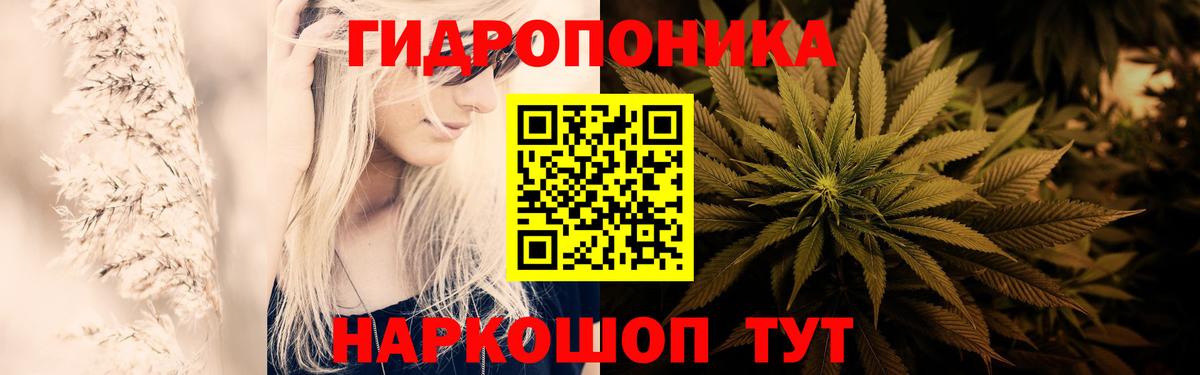 Бошки Шишки OG Kush  Бошки марихуана индика  Сердобск  Вход с VPN 